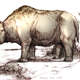 Illustration for article titled Study: South American native ungulates are stem perissodactyls